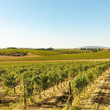 Prugnolo Montepulciano